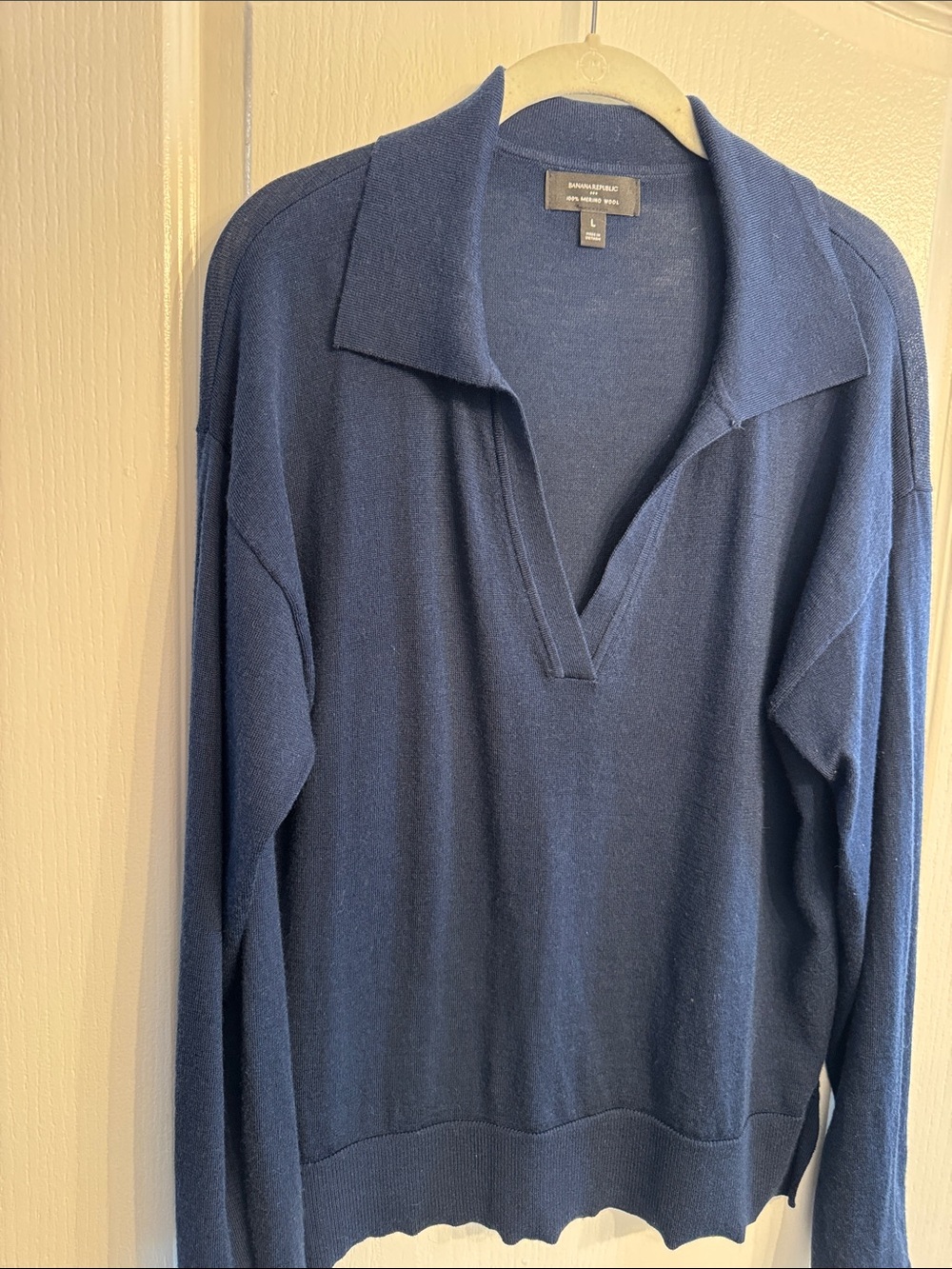 Banana Republic Preppy Navy V-Neck Merino Wool Sweater